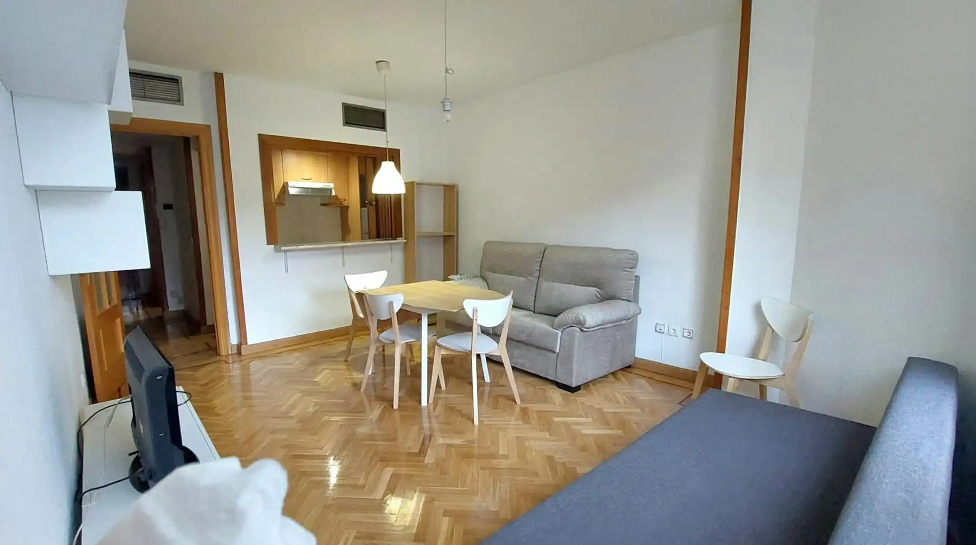 Living room of Flat for rent in Barrio de Salamanca