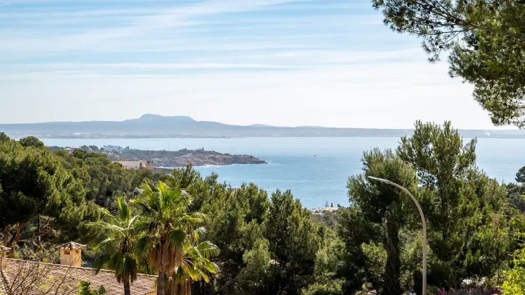 Casa o chalet de alquiler en Cas Català - Illetes