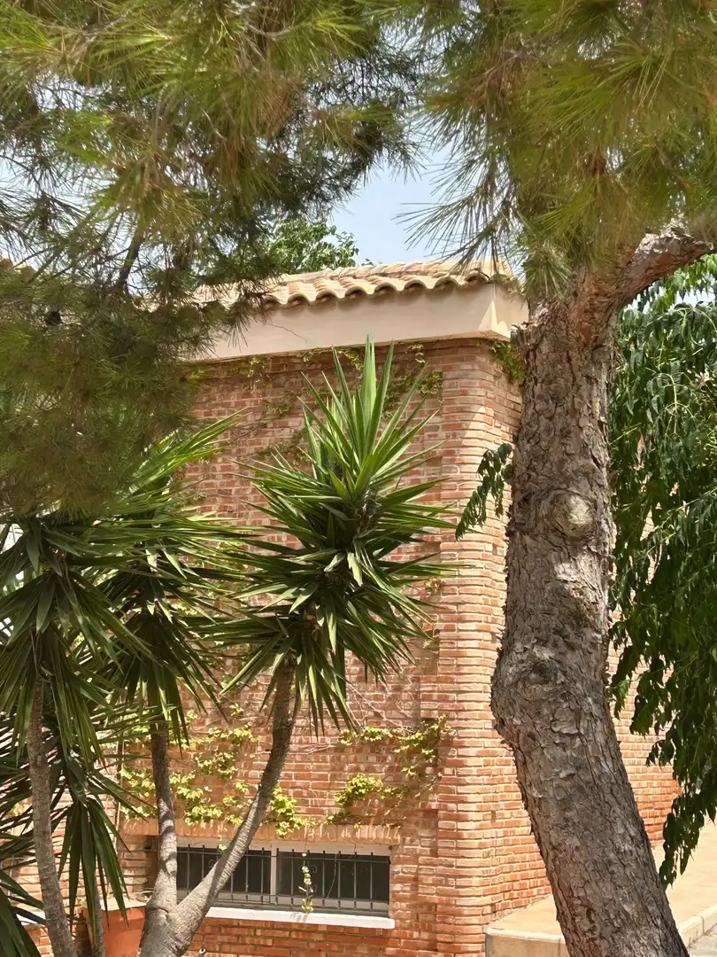 Vista exterior de Casa o xalet en venda en San Vicente del Raspeig / Sant Vicent del Raspeig amb Aire condicionat, Calefacció i Jardí privat