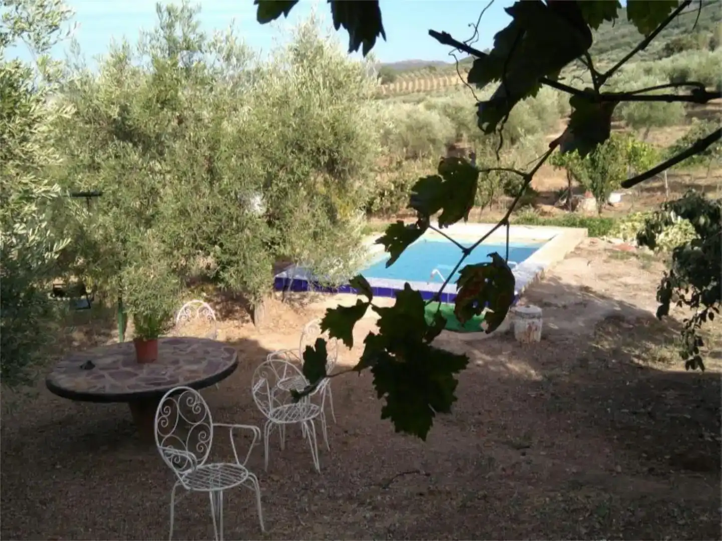 Jardí de Finca rústica en venda en Herrera del Duque amb Jardí privat, Piscina i Moblat
