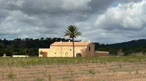 Foto 4 de Casa o xalet de lloguer a Porreres, Illes Balears