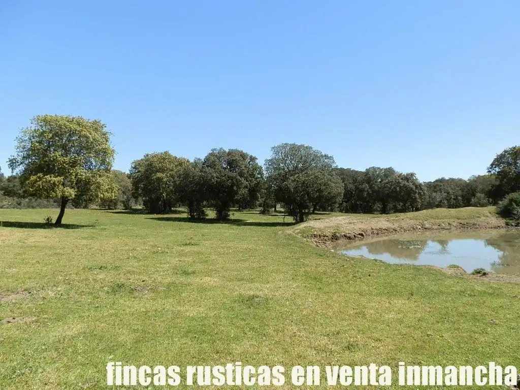 Terreno rustico in vendita a Ciudad Rodrigo, imagen 32