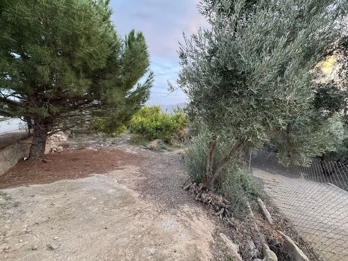 Terreno rustico in vendita a Lecrín, imagen 4