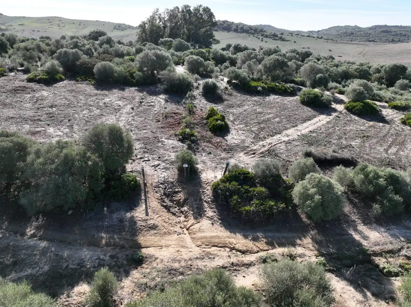 Terreny rústic en venda a Medina Sidonia, imagen 2