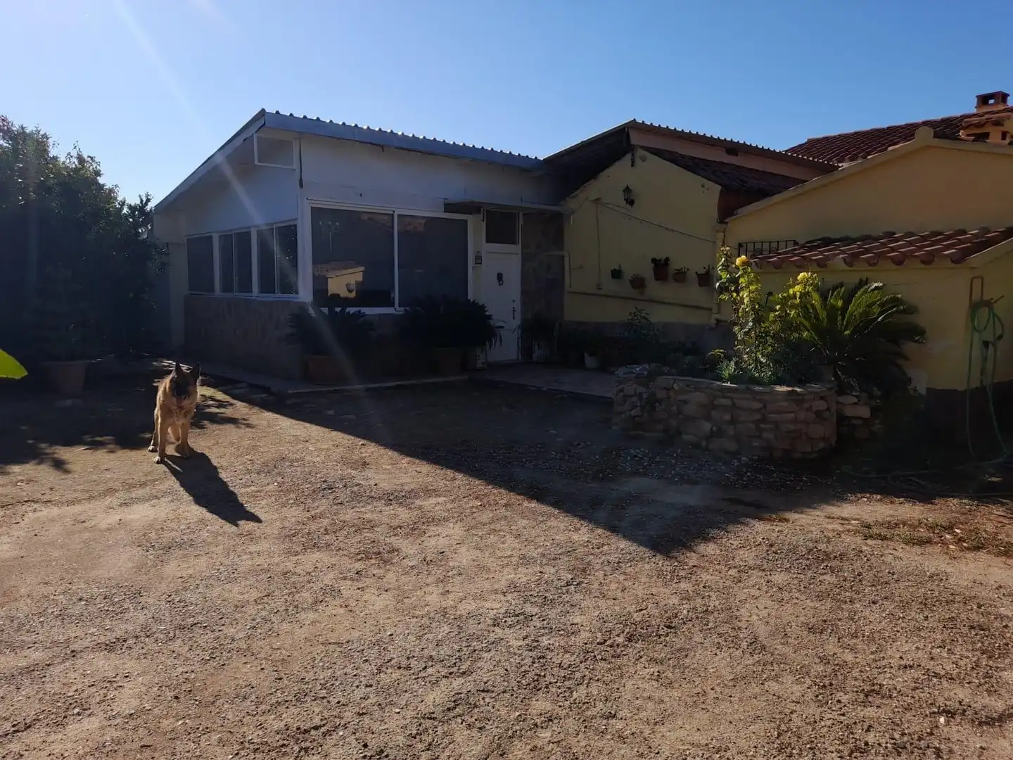 Vista exterior de Casa o xalet en venda en Flix amb Jardí privat, Terrassa i Traster