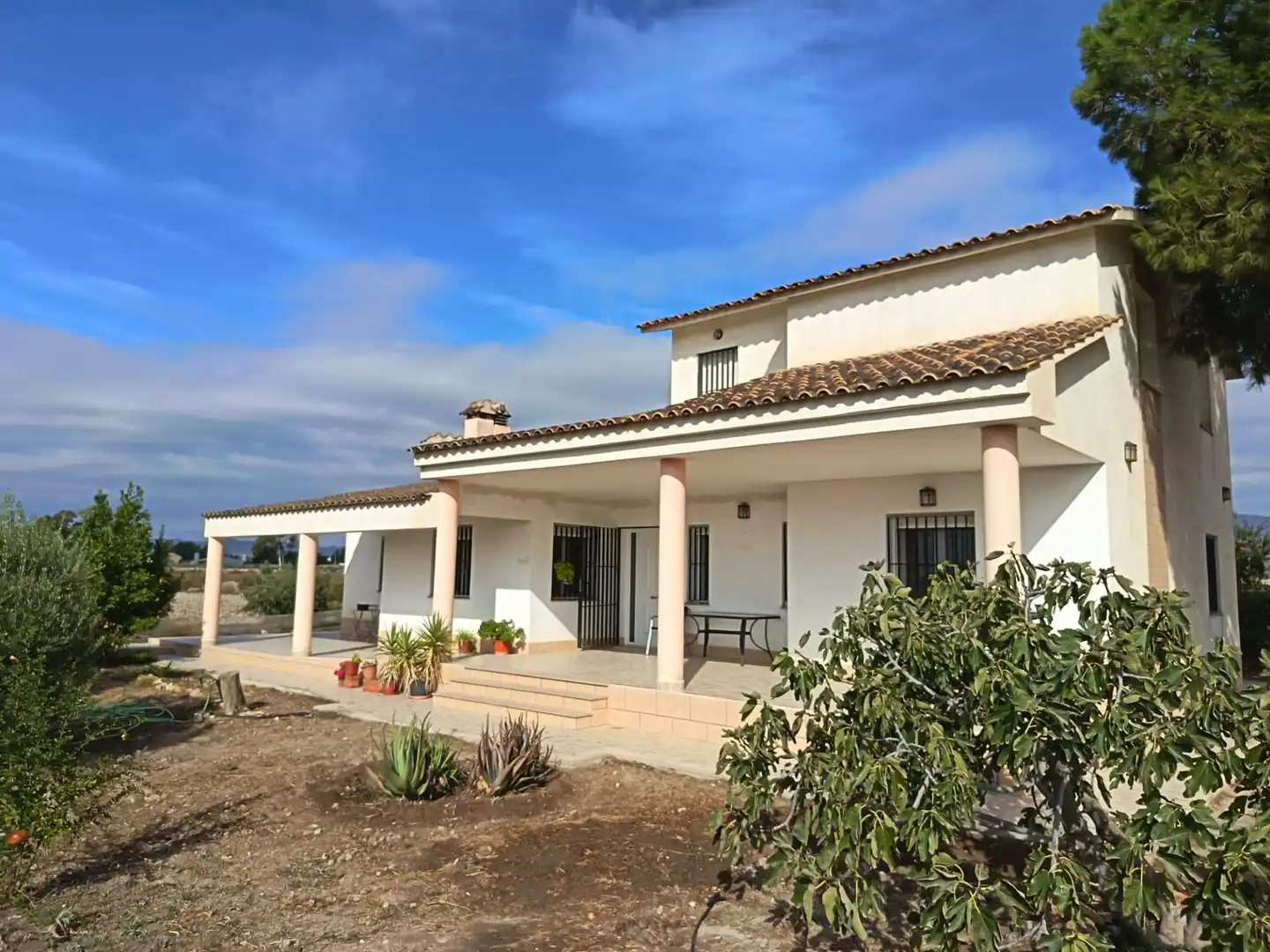 Exterior view of Houses for sale in Pedanías Centro