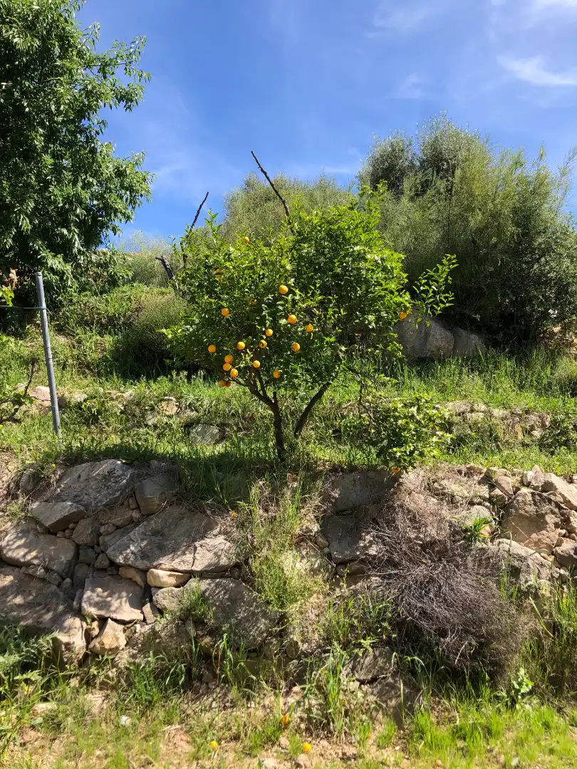Casa rústica en venta en Valle de Abdalajís, imagen 22