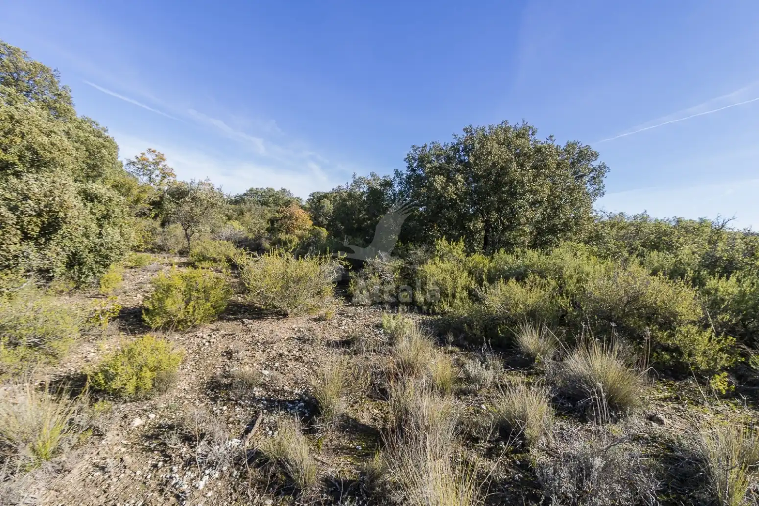 Terreno en venta en Yebes