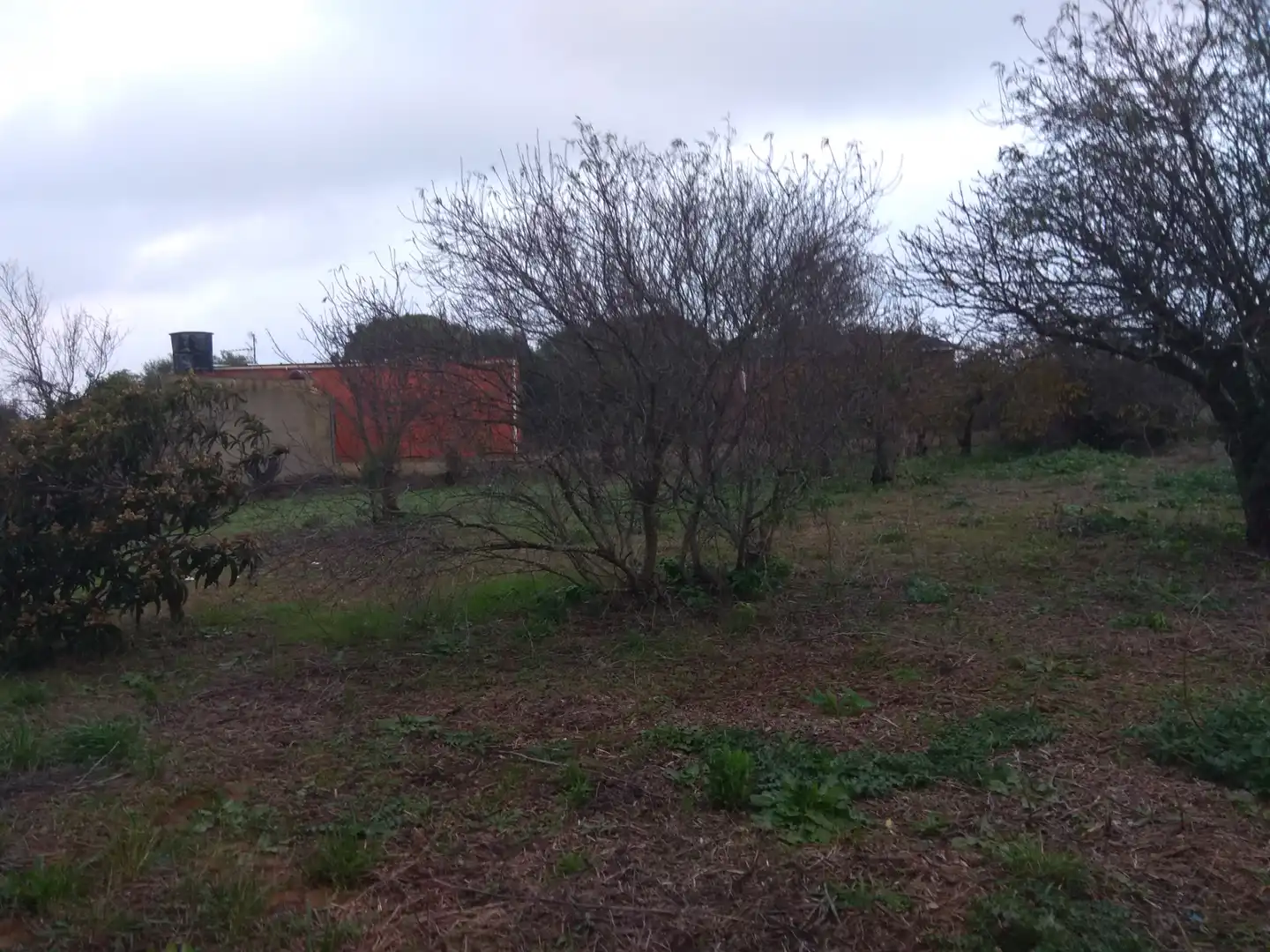 Casa amb jardí en venda a Carretera del Pago del Humo, imagen 6