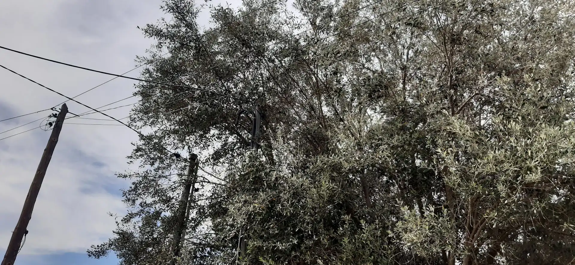Casa o xalet en venda en Vacarisses amb Jardí privat, Terrassa i Piscina