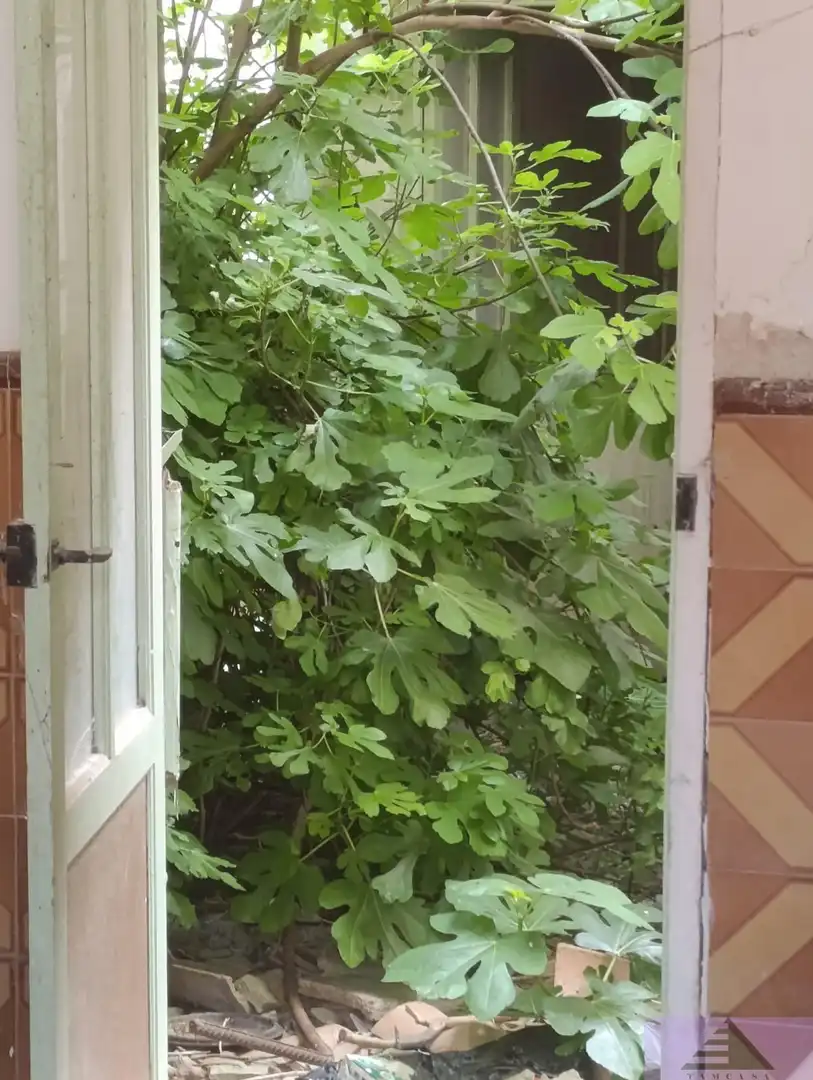 Jardín de Casa o chalet en venta en Cabezamesada con Calefacción