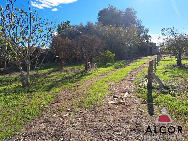 Terreno residencial en Venta en Urbanización Vistabella A, 7 en Vistabella