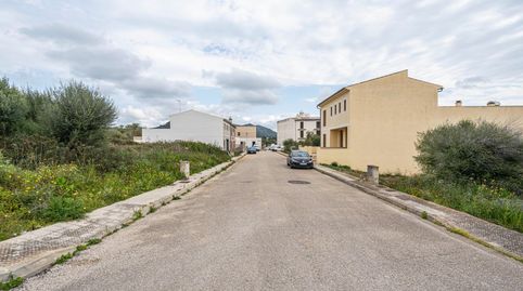 Terreno San Lorenzo, immagine 4