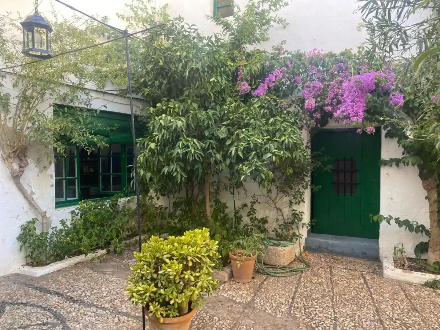 Vista exterior de Planta baixa en venda en Fuente del Maestre amb Jardí privat, Traster i Moblat