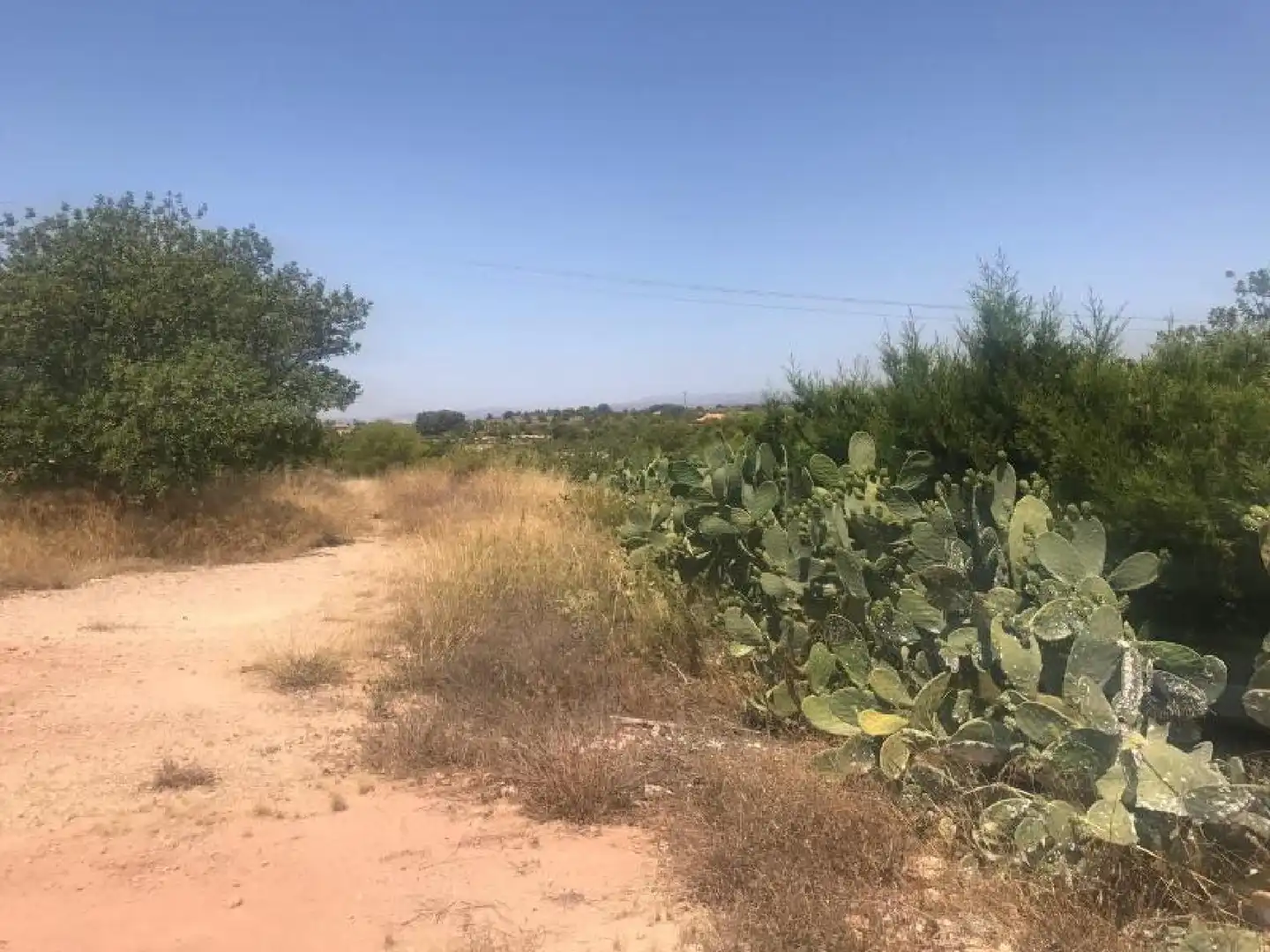 Lands and plots for sale in Pla dels Aljubs, imagen 6