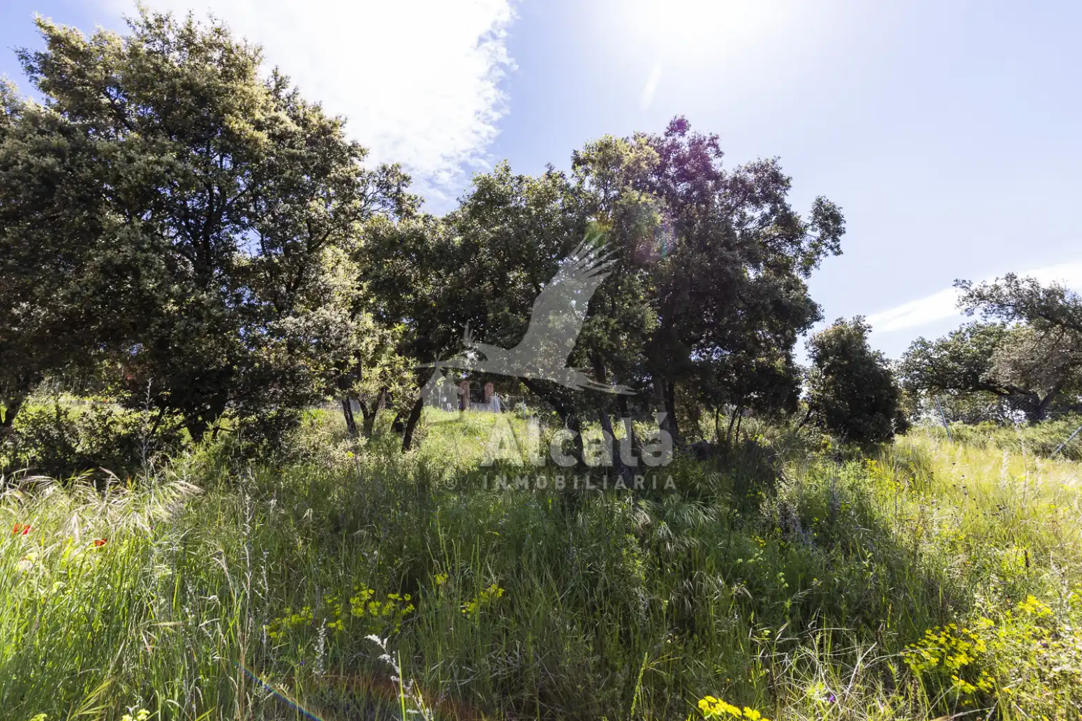Residential land for sale in Fuentenovilla, imagen 16