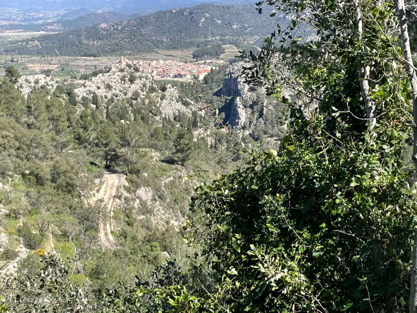 Terrain rustique à vendre à Tivissa