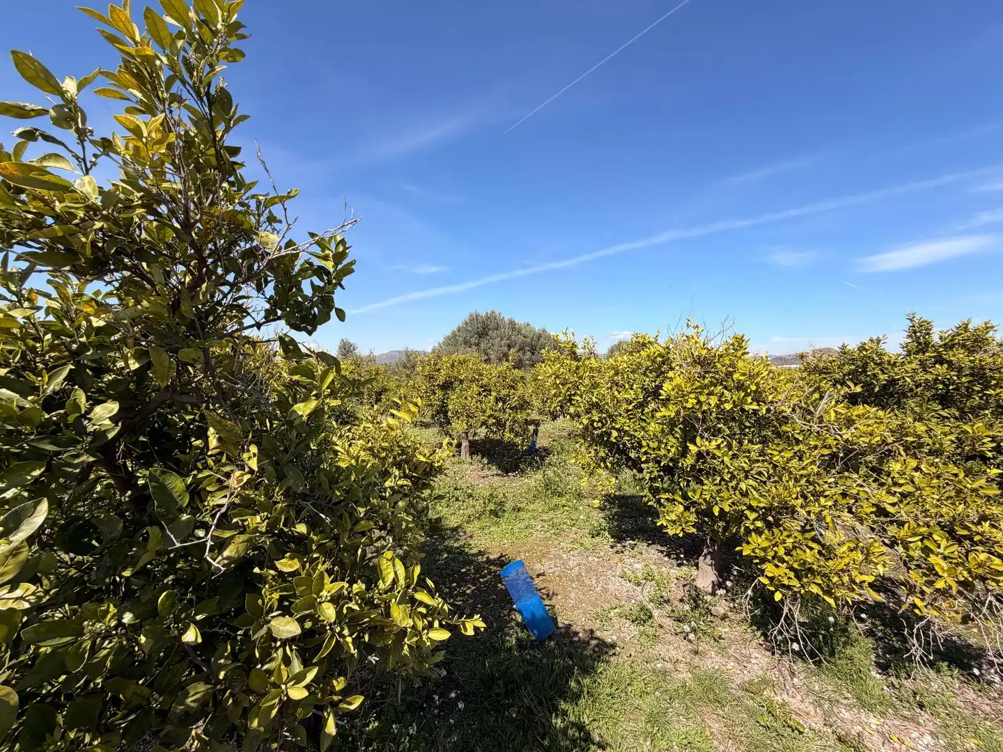 Rural land for sale in Almenara, imagen 7