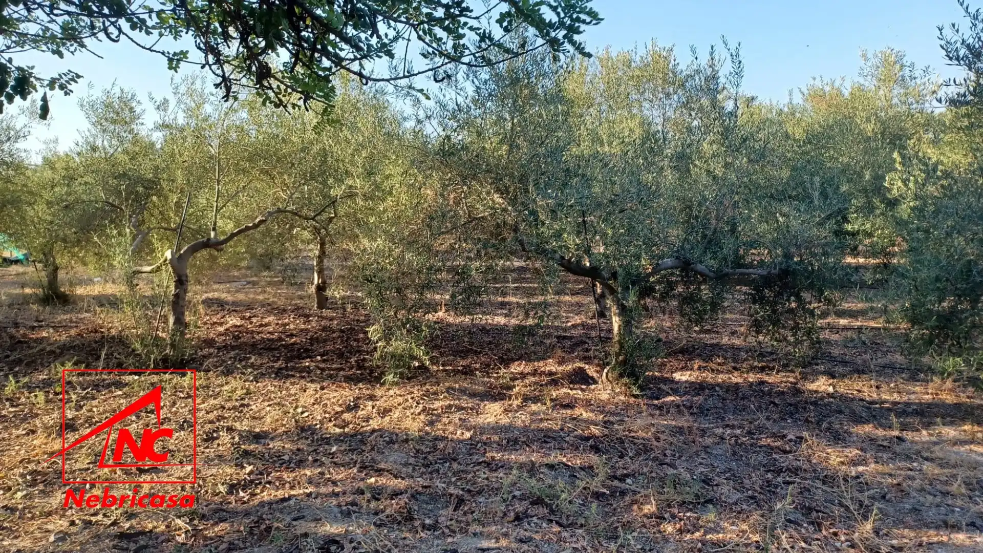 Lands and plots for sale in El Cuervo de Sevilla, imagen 8