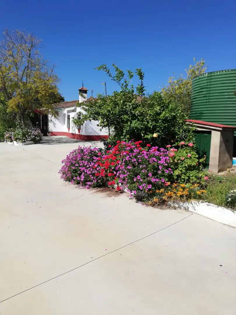 Maison avec piscine à vendre à madroñal, imagen 4