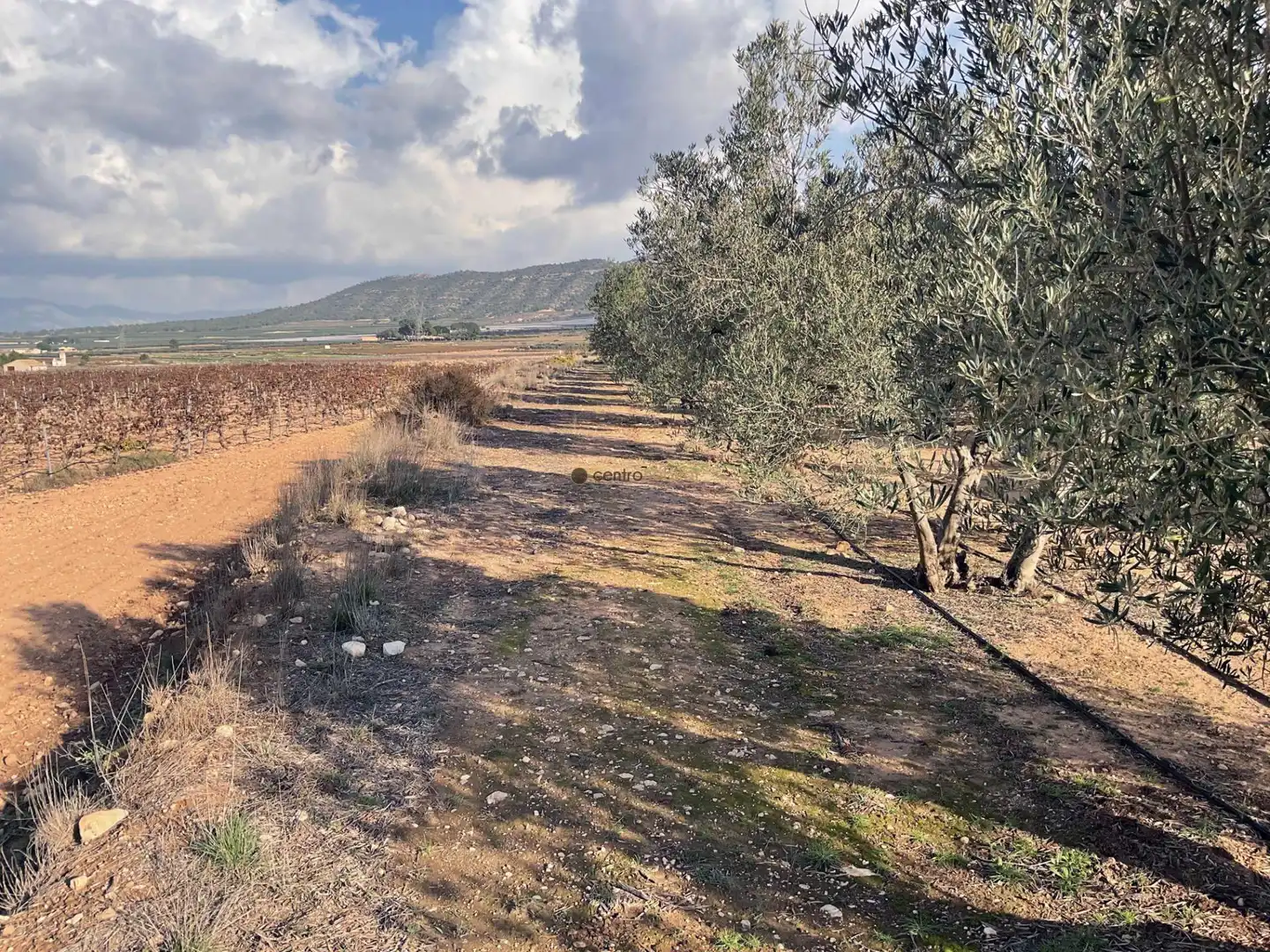 Rustikales Grundstück zum Verkauf in Salinas, imagen 4