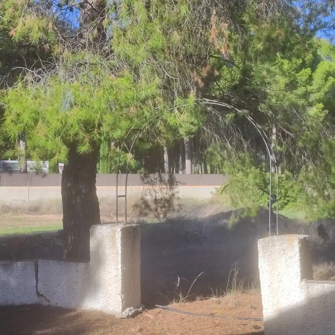 Garden of Houses for sale in Totana  with Terrace, Furnished and Oven