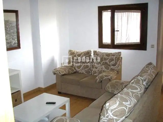 Living room of Flat for rent in Málaga  with Air Conditioner, Heating and Private garden