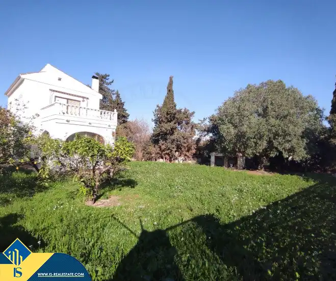 Jardín de Casa o chalet en venta en Torrevieja con Terraza y Amueblado