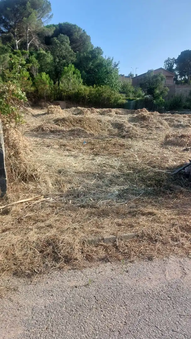 Terrenos y solares en venta en Mil·leni, imagen 5