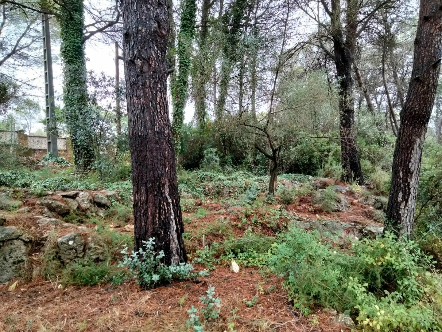 Rural land for sale in Vilallonga / Villalonga, imagen 3