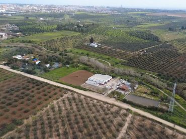 Terrain rustique à vendre à Cañada Real de las Islas