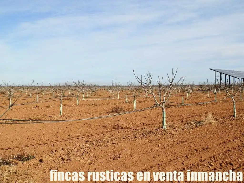 Terreno en venta en Albacete