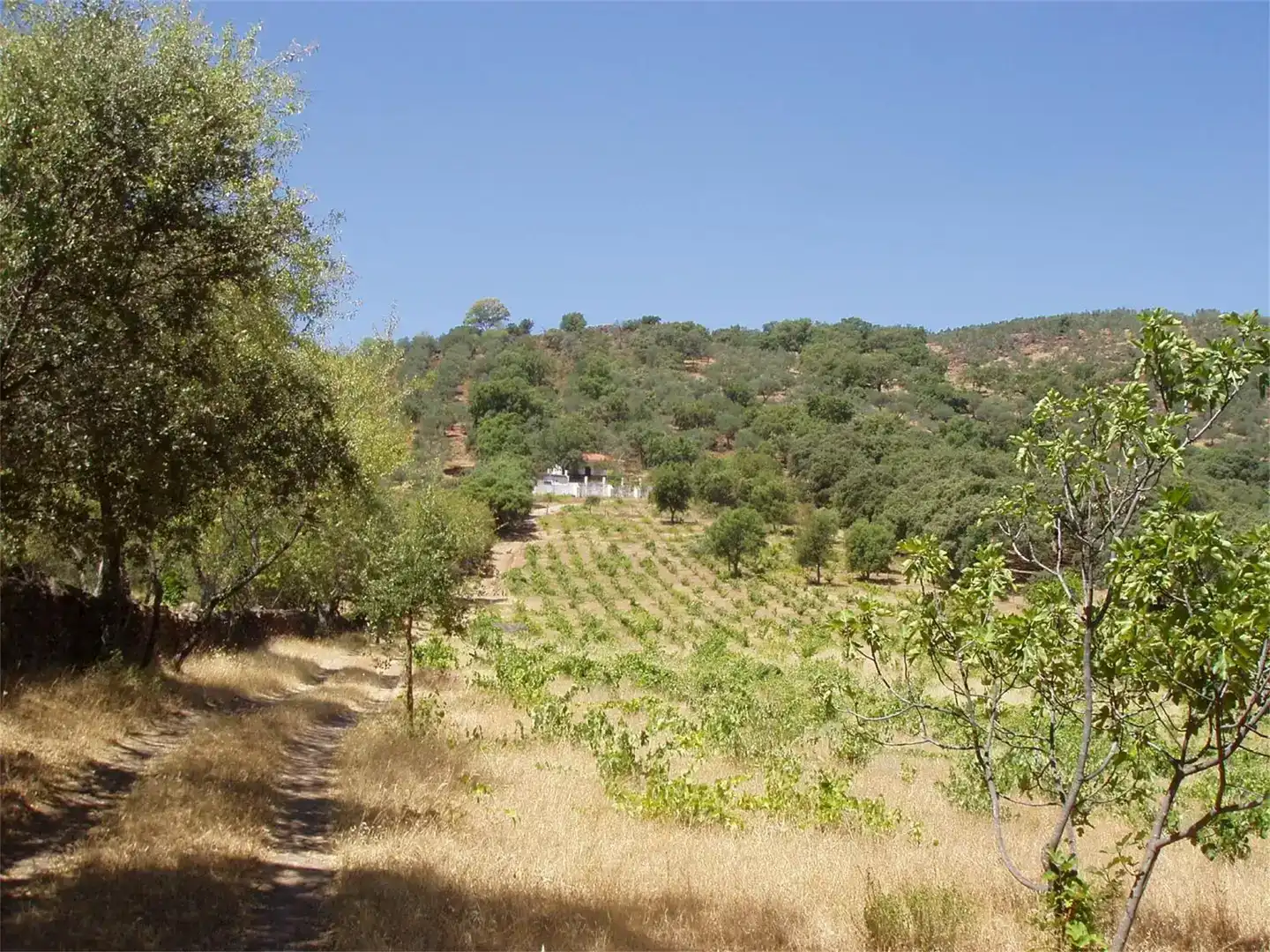 Grundstücke zum Verkauf in Cala, Huelva