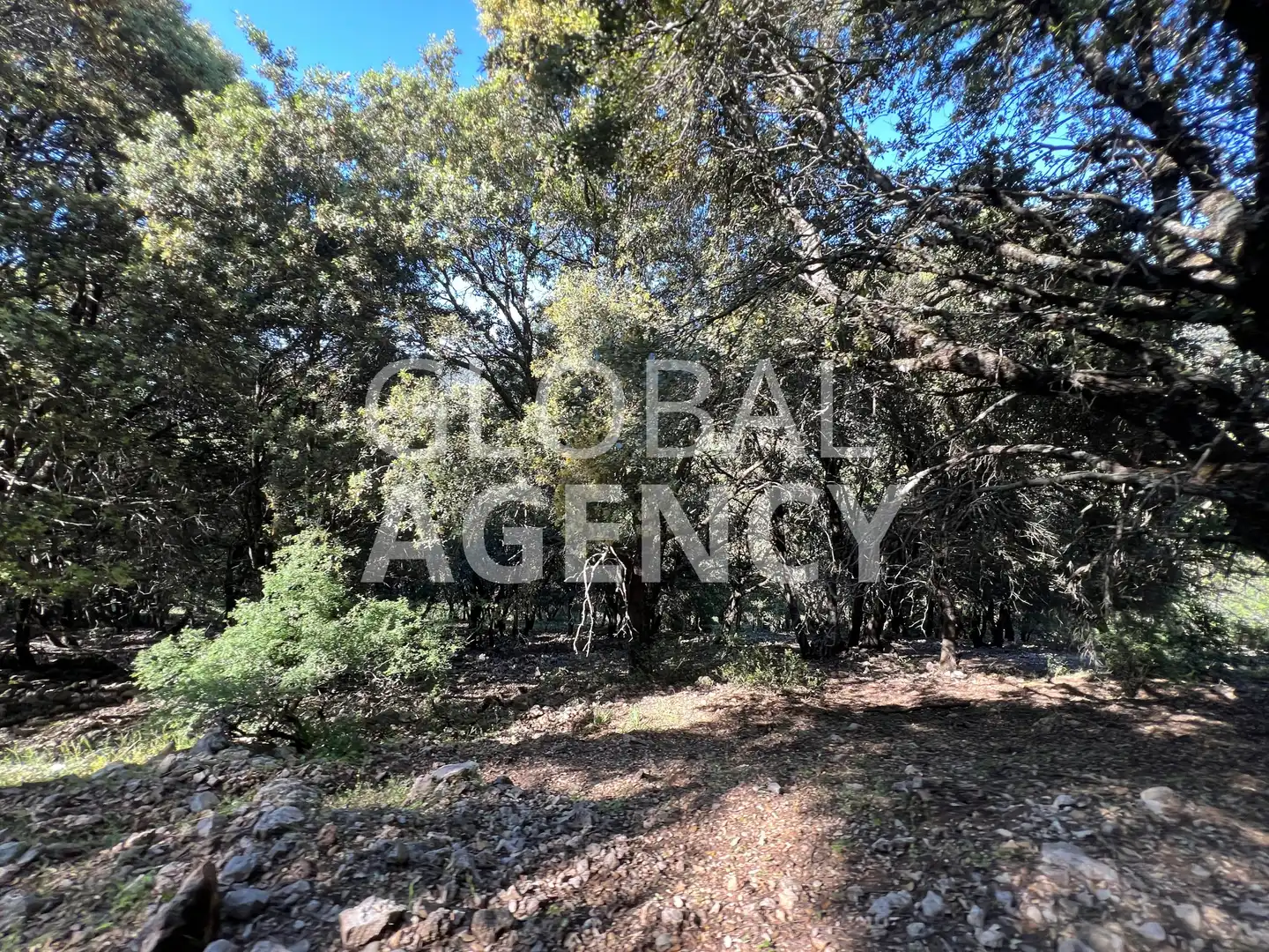 Terreny en venda en Jaén