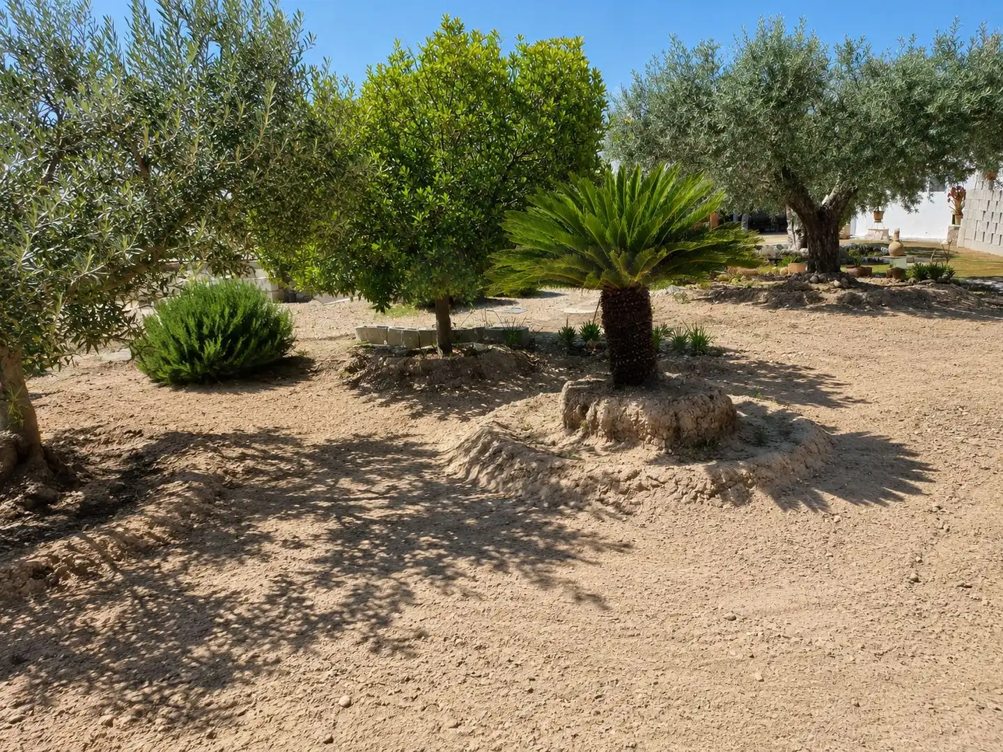 Garden of Houses for sale in Fortuna  with Air Conditioner, Terrace and Swimming Pool