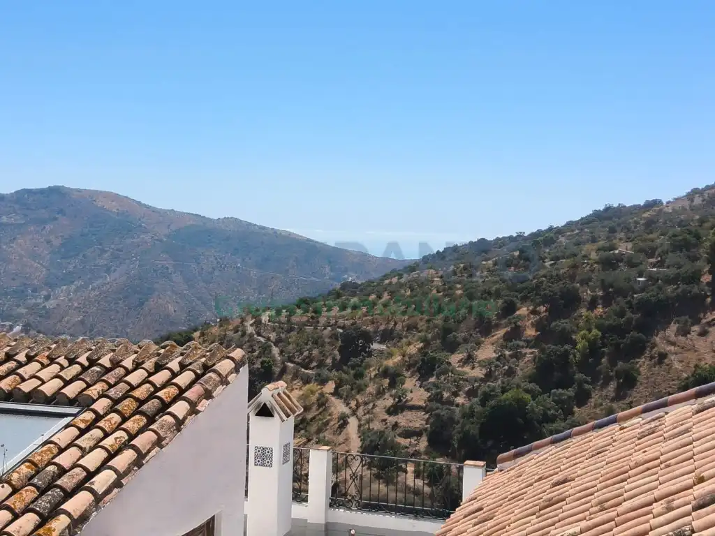 Semi-detached house with terrace for sale in Este, imagen 4