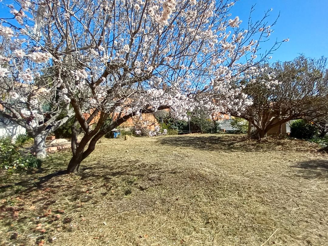 Jardí de Residencial en venda en Cerdanyola del Vallès