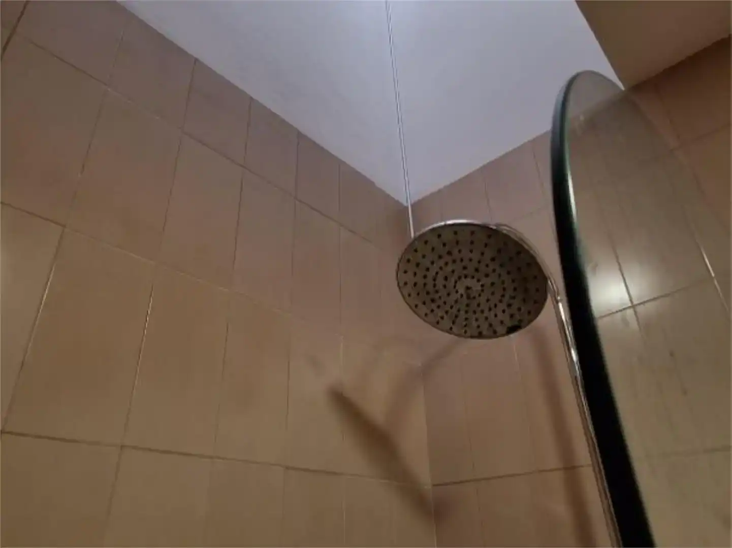 Bathroom of Duplexes for sale in Los Alvarados - Fuente los Berros - Bandama