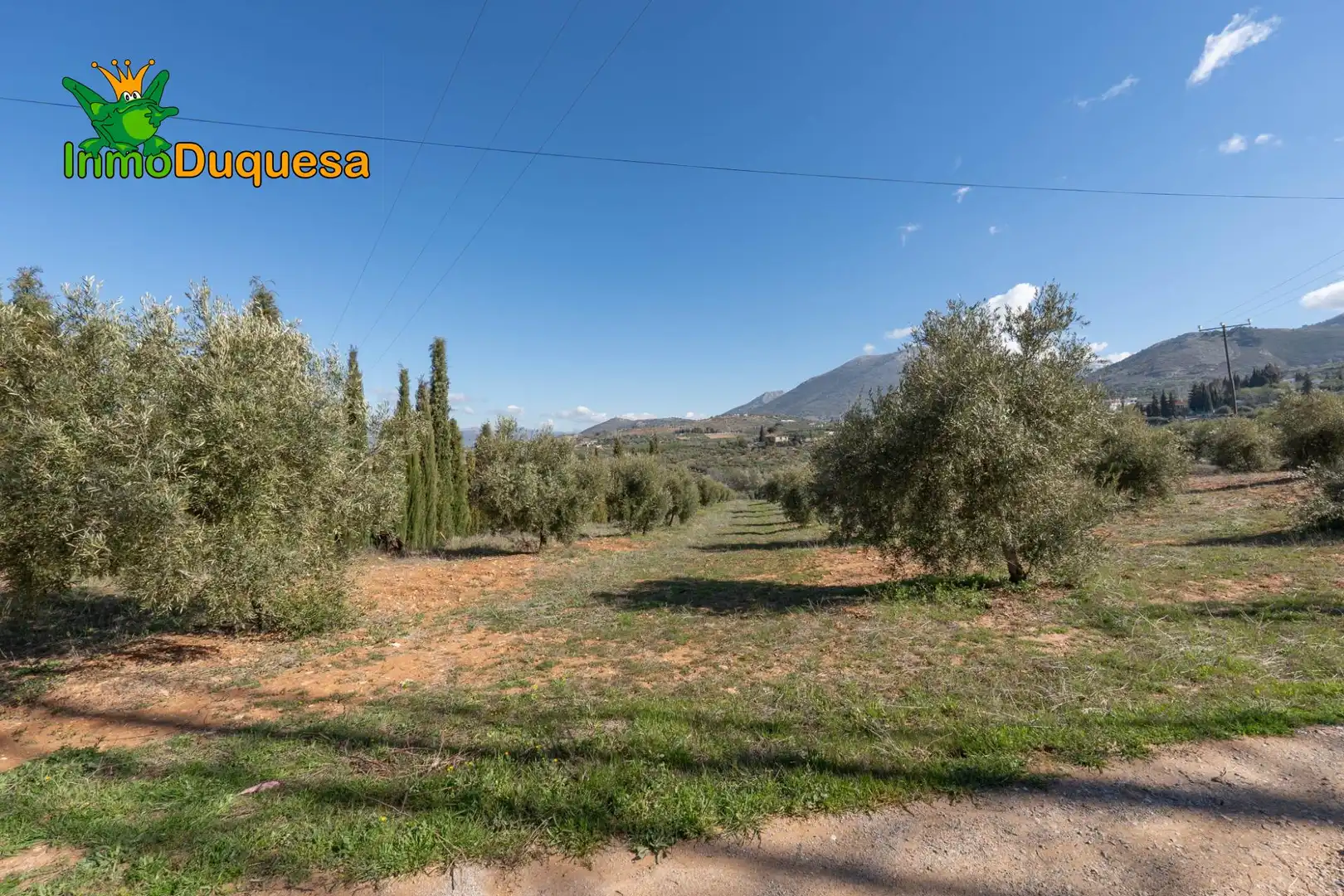 Casa rústica en venda a Cogollos de la Vega, imagen 7
