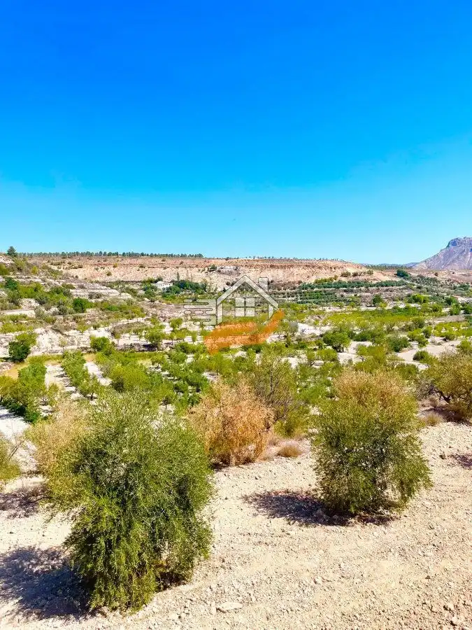 Lands and plots for sale in Vélez-Blanco