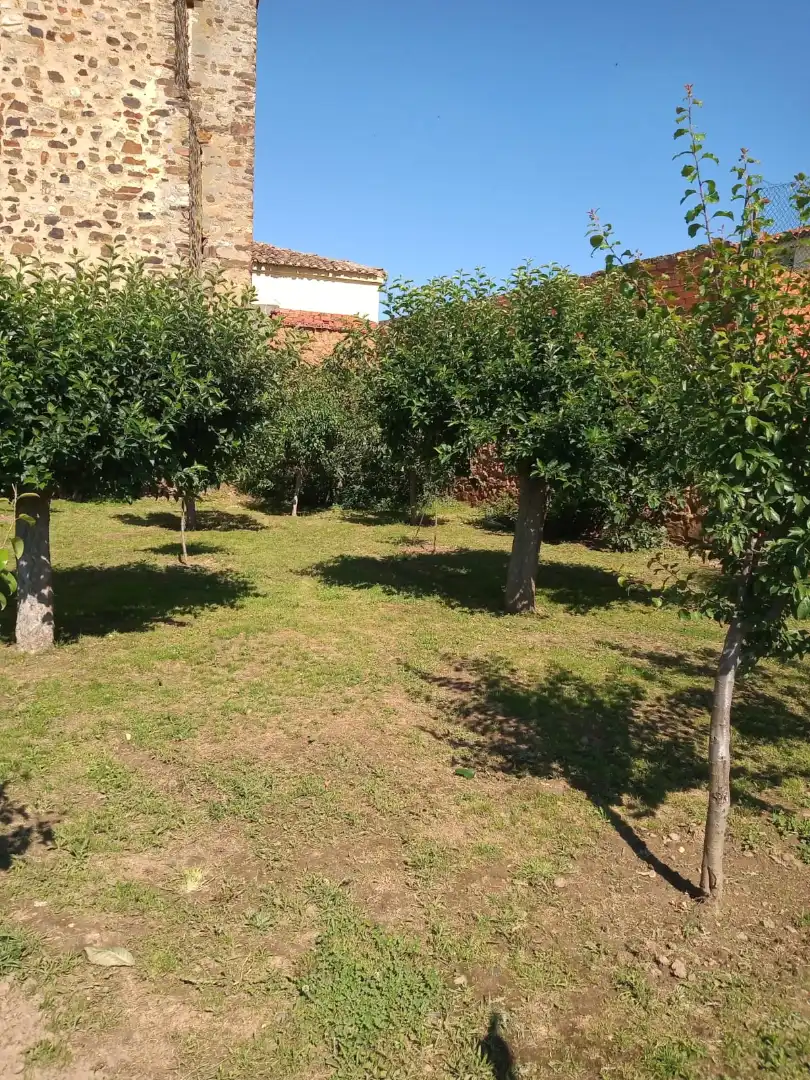 Terreni e lotti in vendita a Plaza la Iglesia 2, imagen 3
