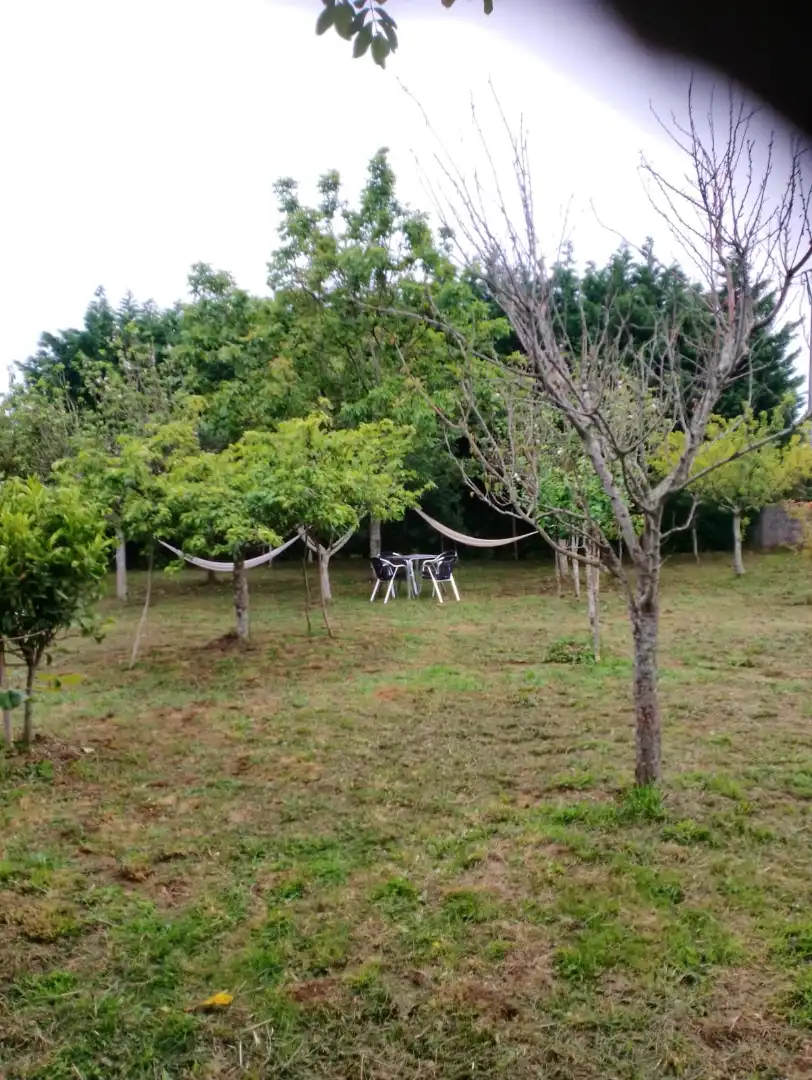 Chalet con jardín en venta en Valdoviño, imagen 3