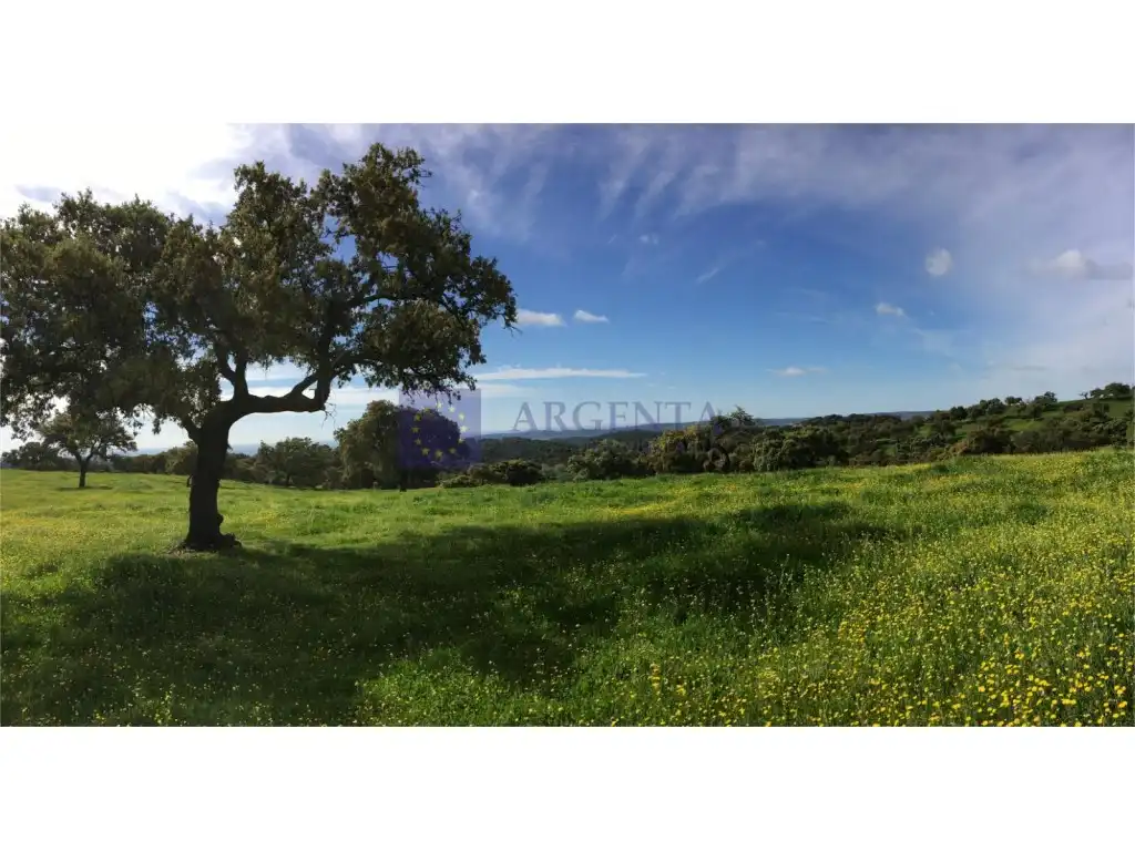 House for sale in Travesia El Coso