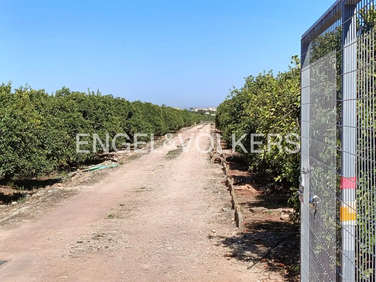 Lands and plots for sale in Els Poblets, imagen 9