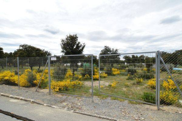 Terreno residencial en Venta en DE LOS ALAMOS en Maello