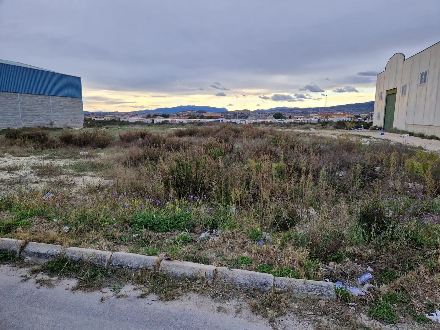 Terreny industrial en venda a Archena, imagen 8
