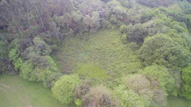 Terreno residencial en Venta en Novales - Bº Valtrigo en Alfoz de Lloredo