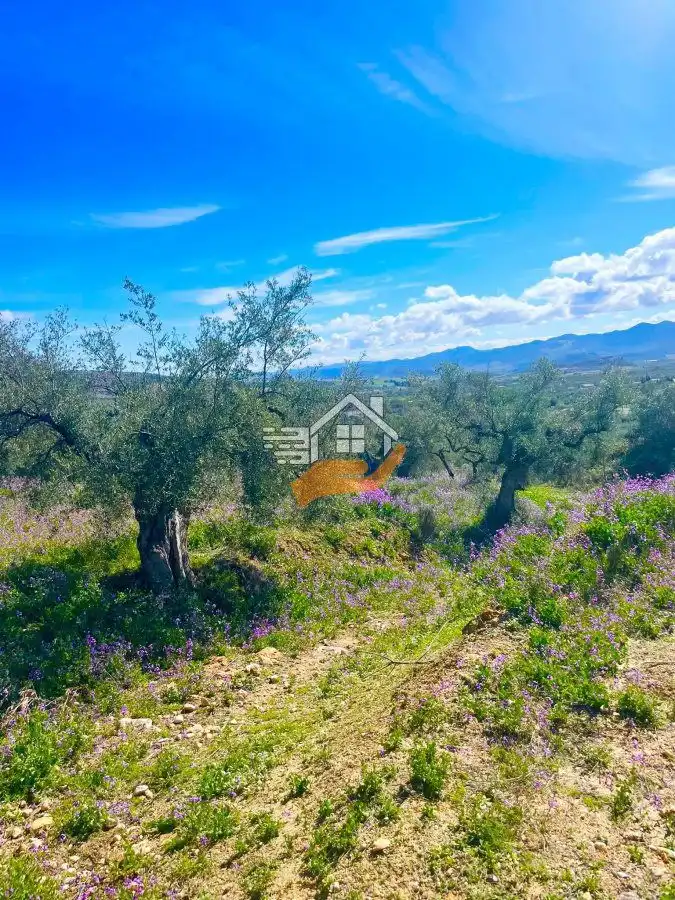 Terrenos y solares en venta en Vélez-Blanco, imagen 5