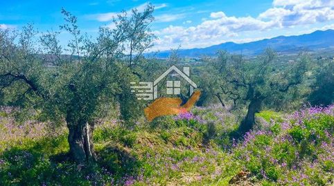 Terreno Rústico en venta en VélezBlanco., immagine 5