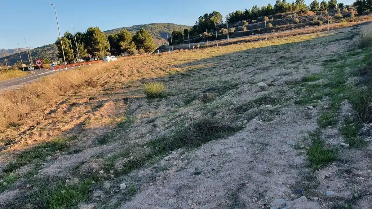 Terreno rústico en venta en El Pinós / Pinoso, imagen 4